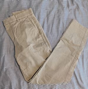 Everlane Men's Chino